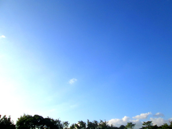 cm20131019___bc695e61b87ebb42446b7f7d7b5
