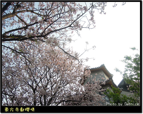 0317 1-東方寺01