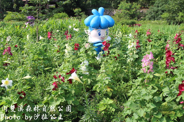 內雙溪森林自然公園:士林-內雙溪自然中心(免費參觀) 內雙溪森林自然公園:士林-內雙溪自然中心(免費參觀)