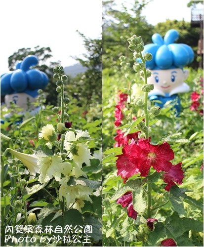 內雙溪森林自然公園:士林-內雙溪自然中心(免費參觀) 內雙溪森林自然公園:士林-內雙溪自然中心(免費參觀)