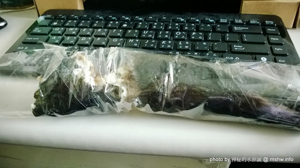 2+1海苔飯捲:【食記】經濟帶著走,輕鬆無負擔 @ 台中西屯-2+1海苔飯捲 2+1海苔飯捲:【食記】經濟帶著走,輕鬆無負擔 @ 台中西屯-2+1海苔飯捲