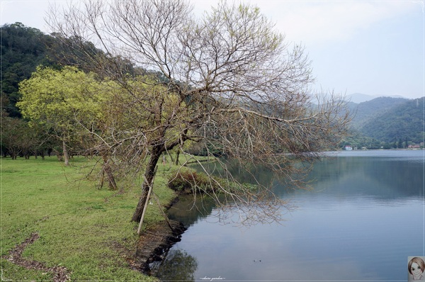金車蘭花園(員山園):宜蘭 員山龍潭埤&金車蘭花園~我與仙人掌的約會 金車蘭花園(員山園):宜蘭 員山龍潭埤&金車蘭花園~我與仙人掌的約會