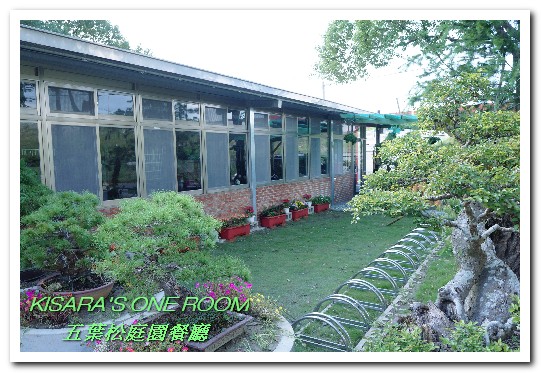 五葉松庭院餐廳:北大特區美食.下飯卻不死鹹,令人乖乖掃盤的美味中式合菜──五葉松庭園餐廳 五葉松庭院餐廳:北大特區美食.下飯卻不死鹹,令人乖乖掃盤的美味中式合菜──五葉松庭園餐廳