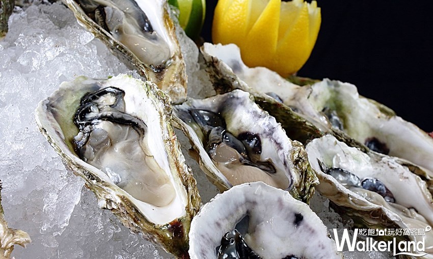 美麗信 / WalkerLand窩客島整理提供