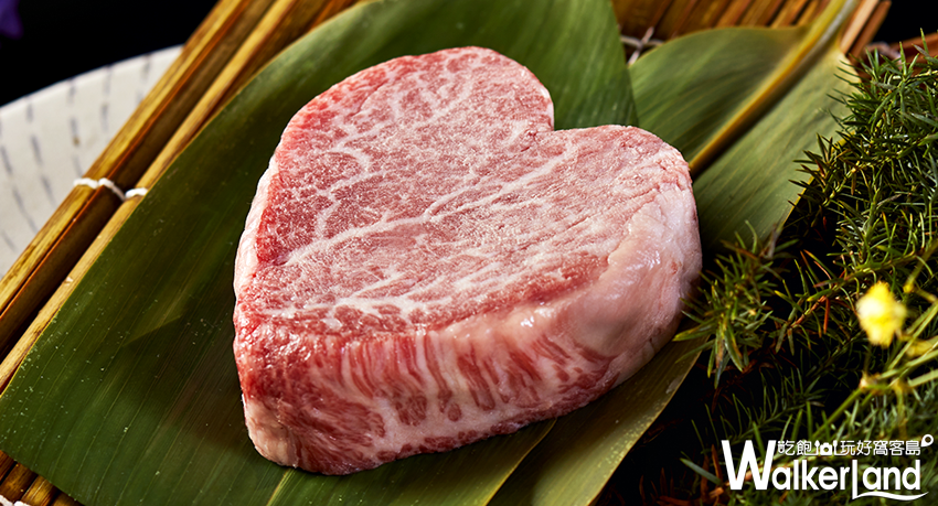 乾杯 / WalkerLand窩客島提供