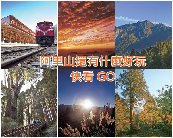 阿里山還有什麼好玩→快看 GO!