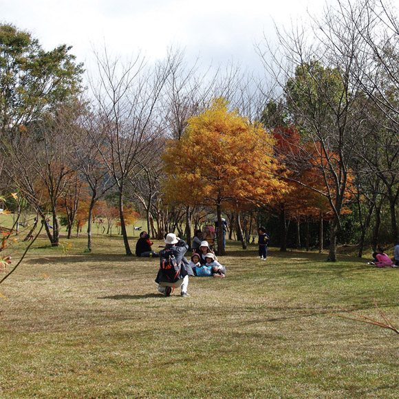 奧萬大國家森林遊樂區