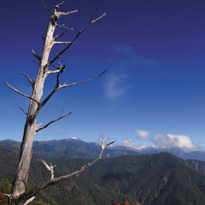 大雪山森林遊樂區