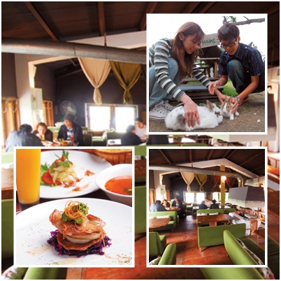 窩客島小編帶我玩八里 兔子餐廳好好吃