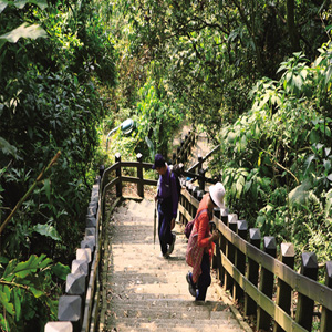 窩客島推薦→象山自然步道