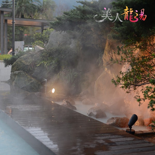 《美人龍湯》x 窩客島WalkerLand 留言抽好禮 拉到最底下↓↓↓