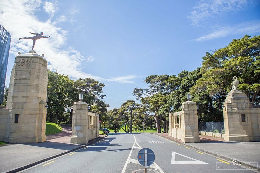 紐西蘭 | 奧克蘭 Auckland | 中央公園 Auckland Domain Park
