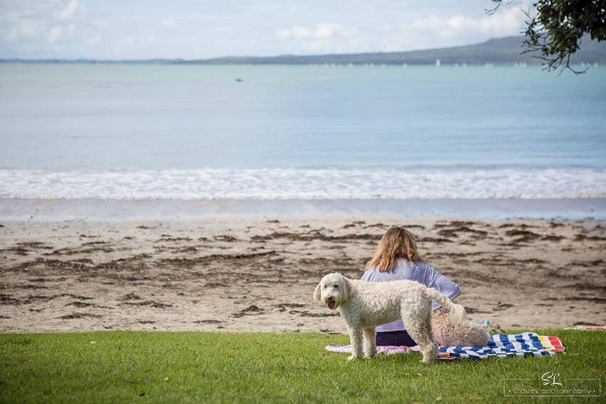 紐西蘭 | 奧克蘭北岸 North Shore | 塔卡普納 Takapuna
