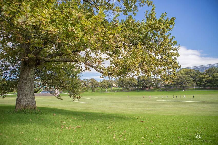 紐西蘭 | 奧克蘭 Auckland | 中央公園 Auckland Domain Park
