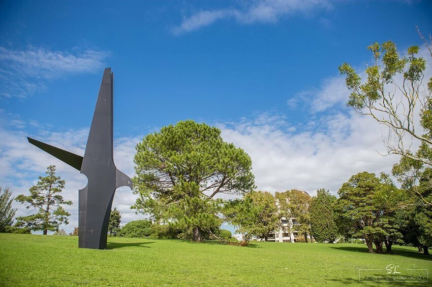 紐西蘭 | 奧克蘭 Auckland | 中央公園 Auckland Domain Park