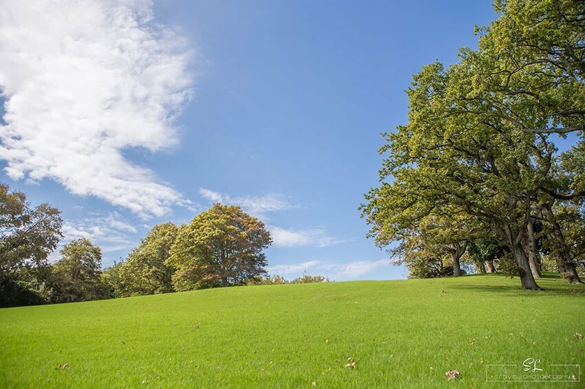 紐西蘭 | 奧克蘭 Auckland | 中央公園 Auckland Domain Park