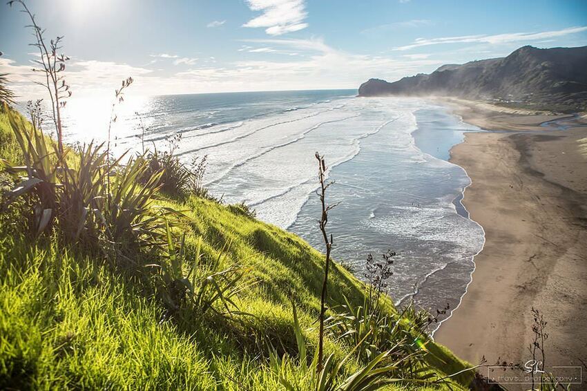 紐西蘭 | 奧克蘭西岸 Auckland West Coast | 皮哈海灘 Piha Beach