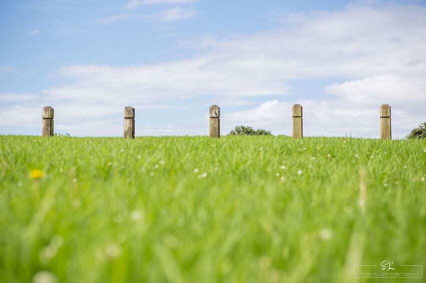 紐西蘭 | 奧克蘭 Auckland | 中央公園 Auckland Domain Park