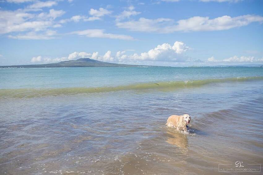 紐西蘭 | 奧克蘭北岸 North Shore | 塔卡普納 Takapuna