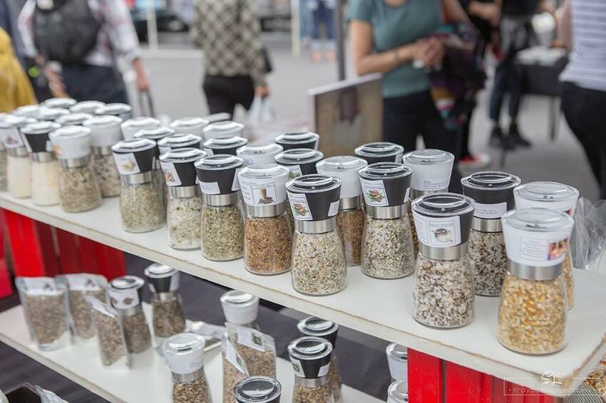 紐西蘭 | 奧克蘭北岸 North Shore | 塔卡普納 Takapuna