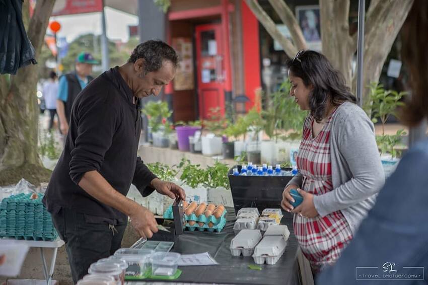 紐西蘭 | 奧克蘭北岸 North Shore | 塔卡普納 Takapuna