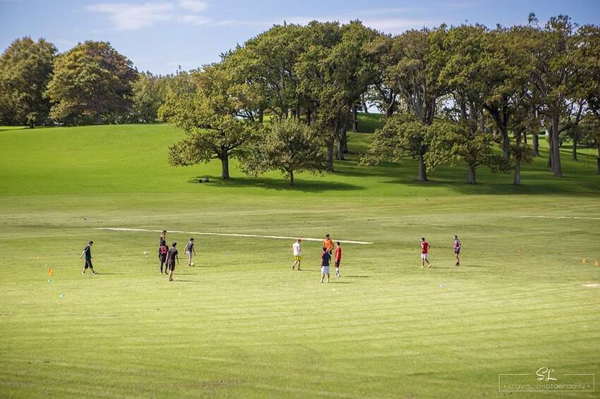 紐西蘭 | 奧克蘭 Auckland | 中央公園 Auckland Domain Park