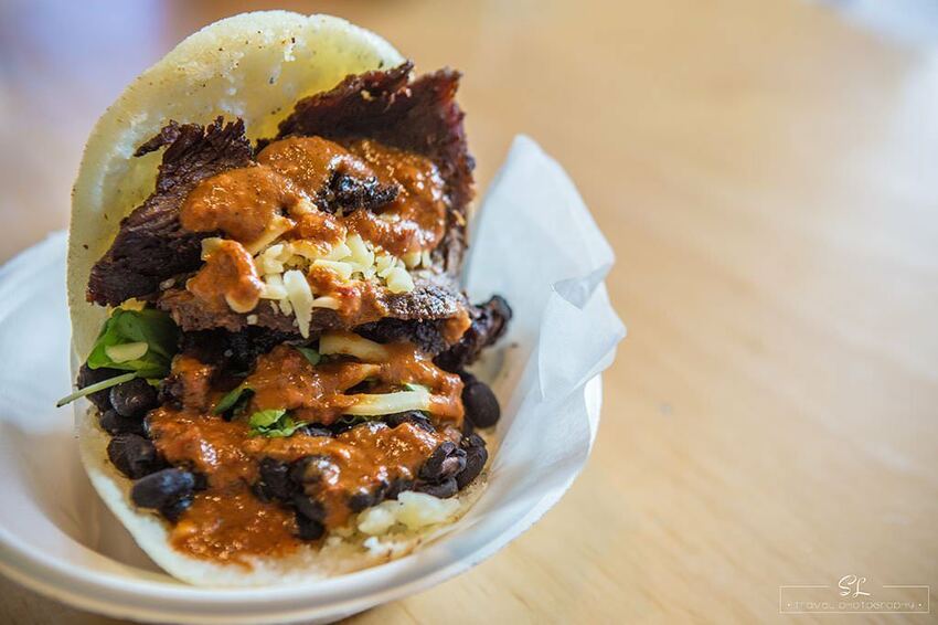 紐西蘭 | 奧克蘭北岸 North Shore | 塔卡普納 Takapuna