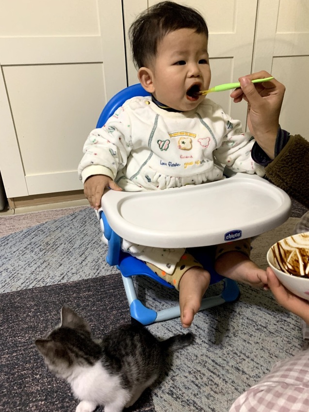 【iHerb購物】Gerber嘉寶 寶寶零食推薦/副食品 一次購買人氣嬰兒食品大開箱 嘉寶星星餅乾 嘉寶雞肉泥(iHerb最新折扣碼)