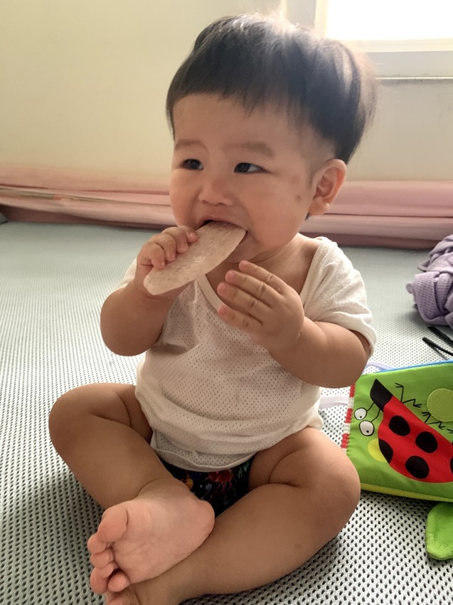 【iHerb購物】Gerber嘉寶 寶寶零食推薦/副食品 一次購買人氣嬰兒食品大開箱 嘉寶星星餅乾 嘉寶雞肉泥(iHerb最新折扣碼)