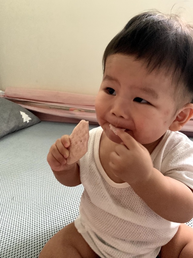 【iHerb購物】Gerber嘉寶 寶寶零食推薦/副食品 一次購買人氣嬰兒食品大開箱 嘉寶星星餅乾 嘉寶雞肉泥(iHerb最新折扣碼)