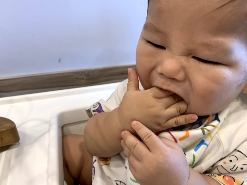 【iHerb購物】Gerber嘉寶 寶寶零食推薦/副食品 一次購買人氣嬰兒食品大開箱 嘉寶星星餅乾 嘉寶雞肉泥(iHerb最新折扣碼)