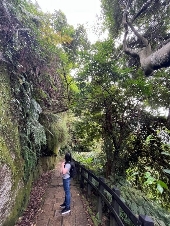 台北景點|最悠哉爬象山路線,沿途不同視野101,永春崗公園/六巨石/一線天