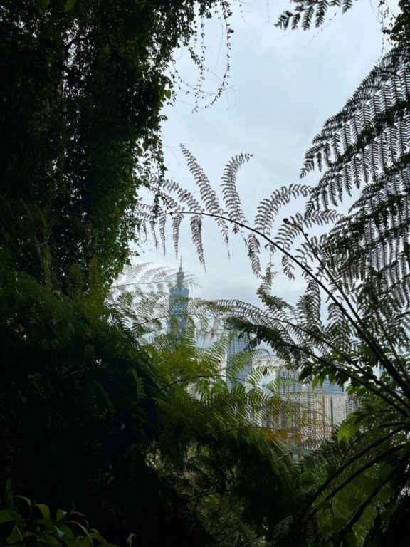 台北景點|最悠哉爬象山路線,沿途不同視野101,永春崗公園/六巨石/一線天