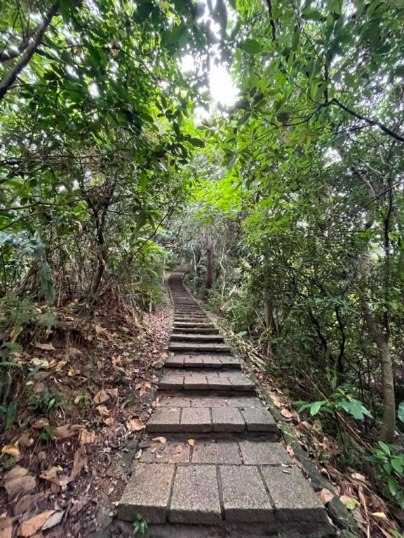 台北景點|最悠哉爬象山路線,沿途不同視野101,永春崗公園/六巨石/一線天