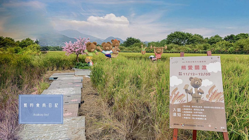 秘境中的秘境!「熊愛關渡」稻田裡的熊熊家族,捷運不是搭到關渡別下錯站喔~(展期、交通、停車須知)|凱的食尚日記