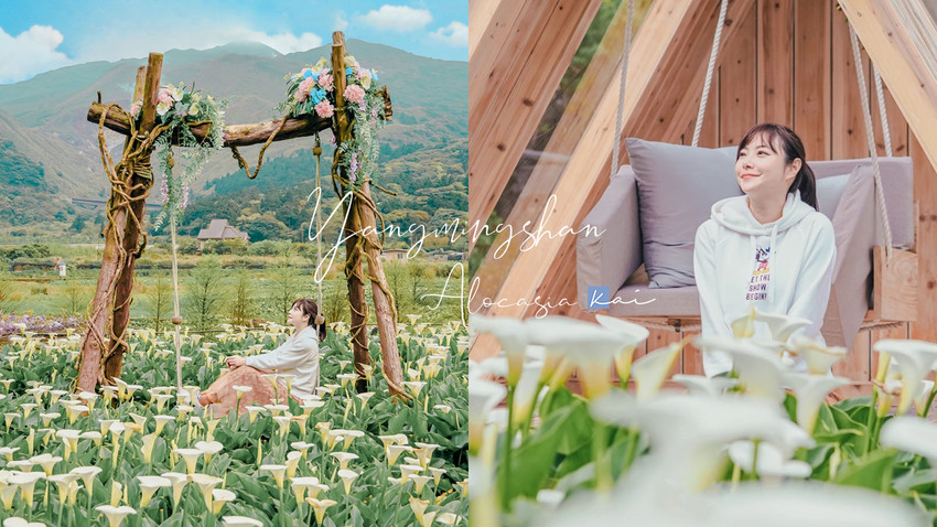 秘境中的秘境!「熊愛關渡」稻田裡的熊熊家族,捷運不是搭到關渡別下錯站喔~(展期、交通、停車須知)|凱的食尚日記