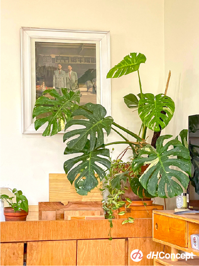 找到生活儀式感很重要！公開Henry &Donny的居家改造5秘訣