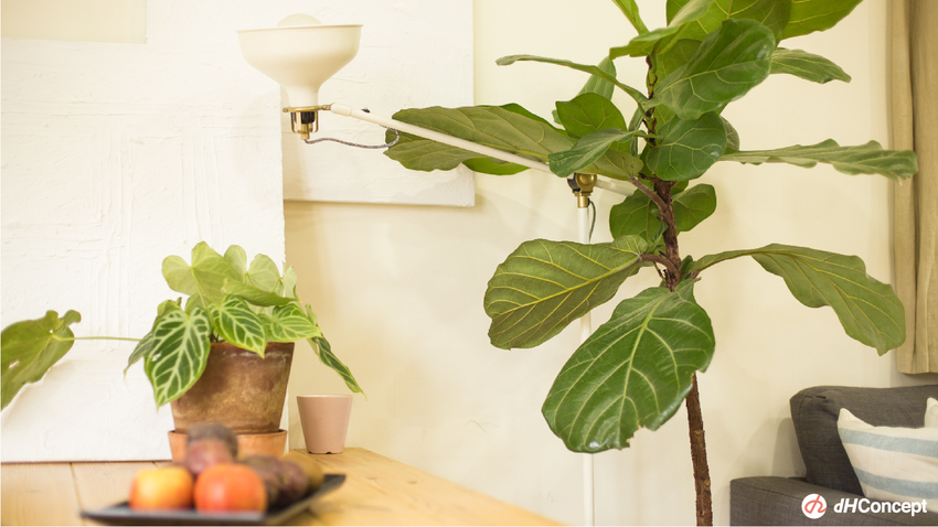 找到生活儀式感很重要！公開Henry &Donny的居家改造5秘訣