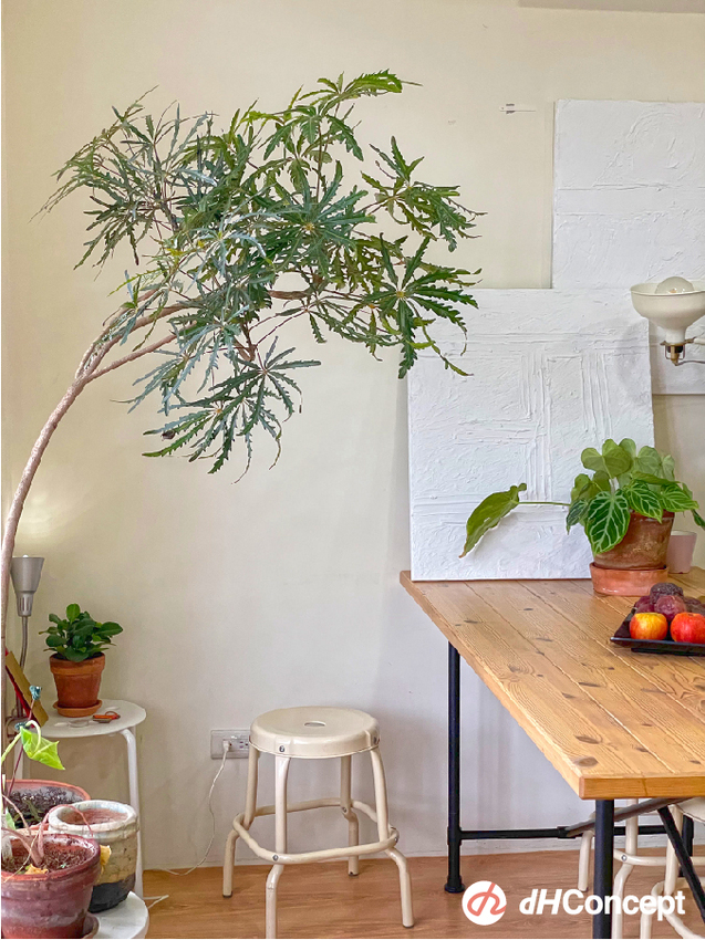 找到生活儀式感很重要！公開Henry &Donny的居家改造5秘訣