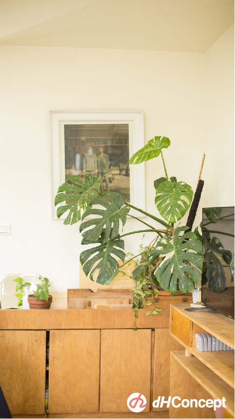 找到生活儀式感很重要！公開Henry &Donny的居家改造5秘訣