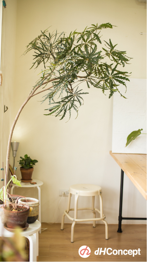 找到生活儀式感很重要！公開Henry &Donny的居家改造5秘訣