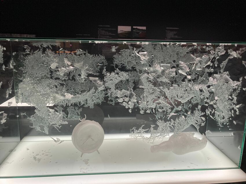 🏛 台中國美館 🖼 未至之城-2021亞洲藝術雙年展 🌏 |