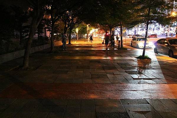 行道樹交響曲.jpg 行道樹交響曲.jpg