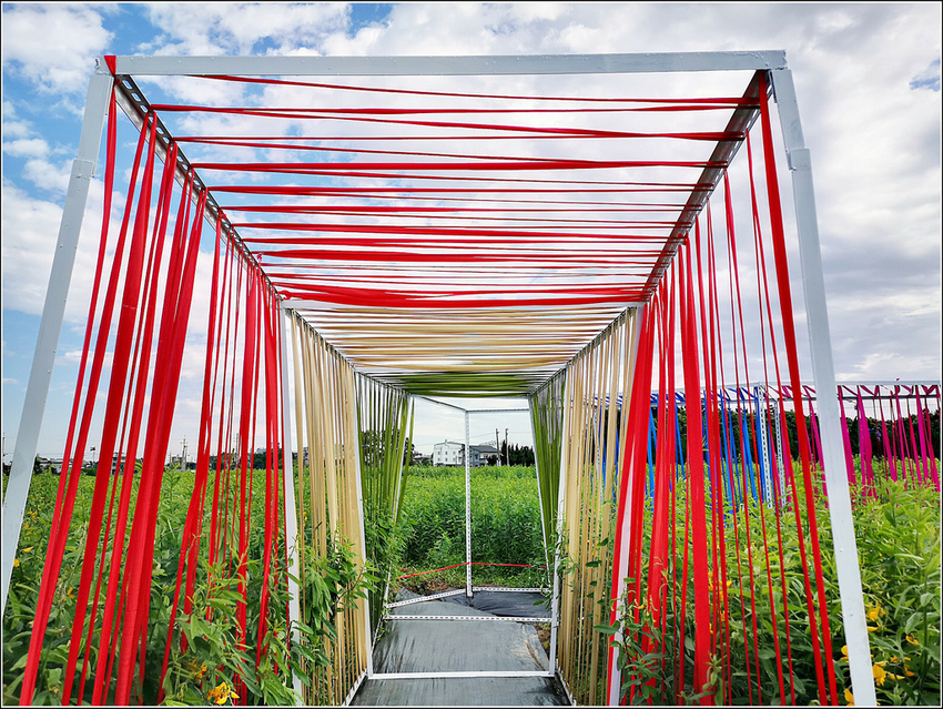 好客園區花海節 - 094.jpg