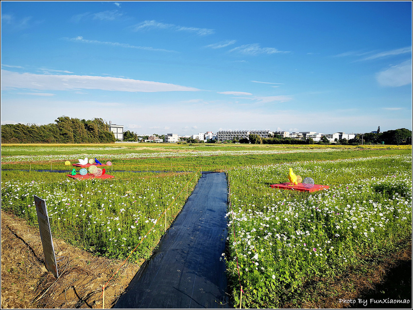 好客園區花海節 - 102.jpg