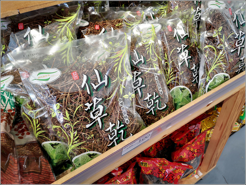 好客園區花海節 - 070.jpg