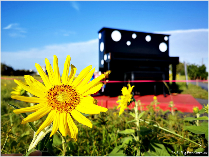 好客園區花海節 - 118.jpg