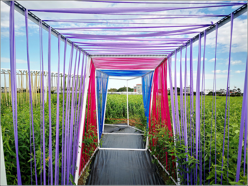 好客園區花海節 - 093.jpg