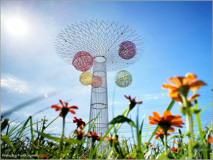 好客園區花海節 - 038.jpg