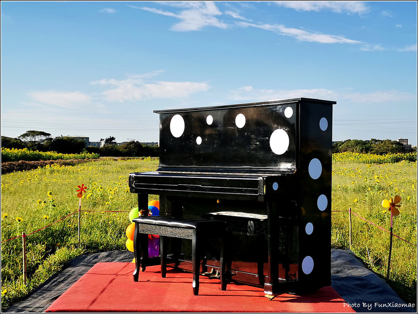 好客園區花海節 - 113.jpg